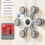 Smart Music Boxing Machine Wall Target Fitness Equipment